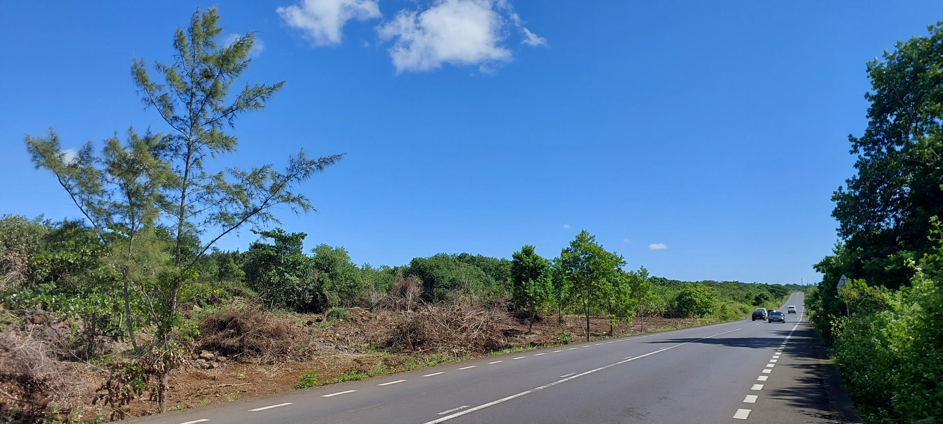 Agricultural land Property for Sale