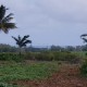 Agriculture Land for sale at Mahebourg
