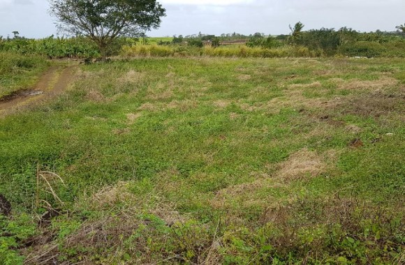  Property for Sale - Residential land -   