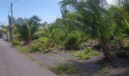 Residential land for sale - Surinam