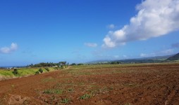 Agricultural land for sale - Souillac