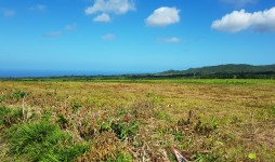 Agricultural land for sale