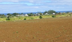 Terrain agricole à vendre - Souillac