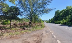 Agricultural land for sale - Amaury