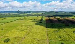 Agricultural land for sale - Melrose