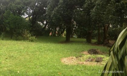 curepipe Property for Sale - Residential land - curepipe