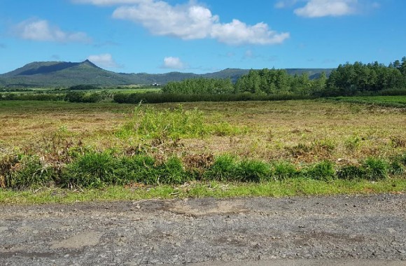 bois-cheri  Property for Sale - Agricultural land - bois-cheri