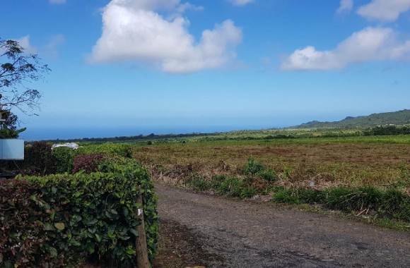 bois-cheri  Property for Sale - Agricultural land - bois-cheri