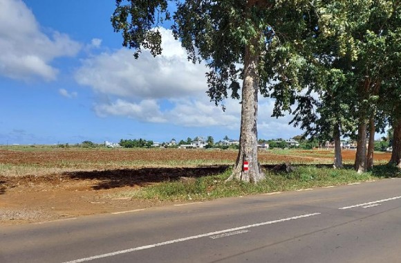 beau-vallon  Property for Sale - Agricultural land - beau-vallon